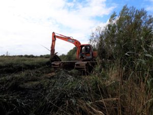 Aquatic digger at the wild life trust Northamptonshire